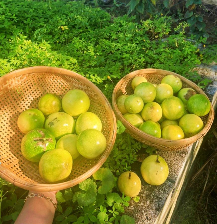 La Villa De Coco Ben Tre Zewnętrze zdjęcie